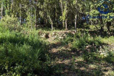 Tomt i Reynès, Pyrenees-Orientales, Reynès - € 81 000 | Ref: 1183 - foto 27