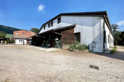 Villa i Ameno, Novara, Ameno - € 1.800.000 | Ref: 4- AMEPEZ - foto 25