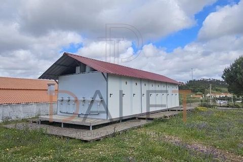 Farm i Torres Vedras, Lisbon, Torres Vedras - € 650.000 | Ref: DALET270DM - foto 45