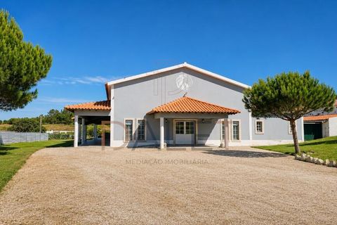 Farm i Torres Vedras, Lisbon, Torres Vedras - € 650.000 | Ref: DALET270DM - foto 10