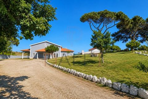 Farm i Torres Vedras, Lisbon, Torres Vedras - € 650.000 | Ref: DALET270DM - foto 11
