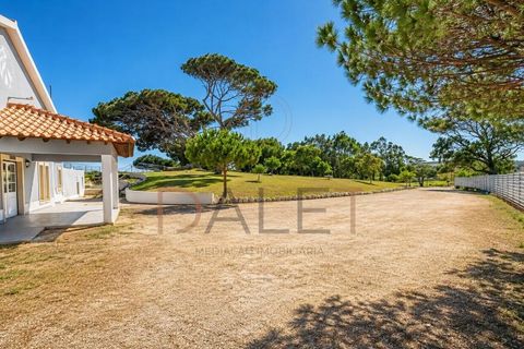 Farm i Torres Vedras, Lisbon, Torres Vedras - € 650.000 | Ref: DALET270DM - foto 17