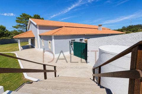 Farm i Torres Vedras, Lisbon, Torres Vedras - € 650.000 | Ref: DALET270DM - foto 43