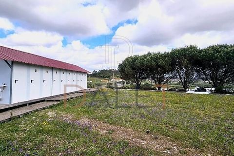 Farm i Torres Vedras, Lisbon, Torres Vedras - € 650.000 | Ref: DALET270DM - foto 46