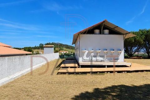 Farm i Torres Vedras, Lisbon, Torres Vedras - € 650.000 | Ref: DALET270DM - foto 47