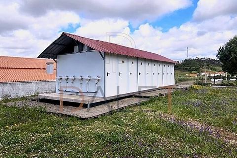 Farm i Torres Vedras, Lisbon, Torres Vedras - € 650.000 | Ref: DALET270DM - foto 48