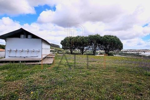 Farm i Torres Vedras, Lisbon, Torres Vedras - € 650.000 | Ref: DALET270DM - foto 49