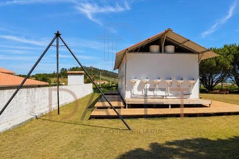 Farm i Torres Vedras, Lisbon, Torres Vedras - € 650.000 | Ref: DALET270DM - foto 50