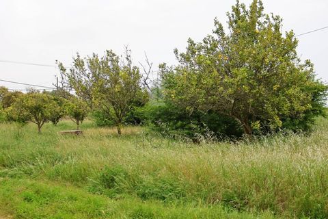 Farm i Bensafrim, Faro, Bensafrim - € 975.000 | Ref: CAS_52 - foto 3
