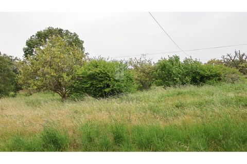 Farm i Bensafrim, Faro, Bensafrim - € 975.000 | Ref: CAS_52 - foto 9