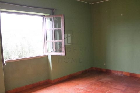 Farm i Bensafrim, Faro, Bensafrim - € 975.000 | Ref: CAS_52 - foto 15