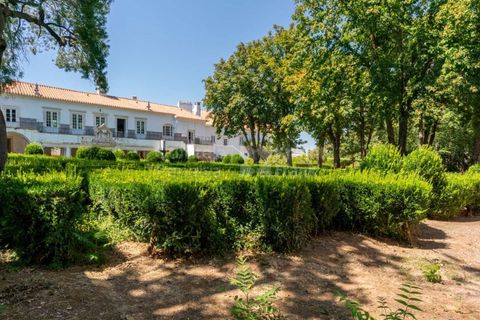 Farm i Borba, Evora, Borba - € 2.500.000 | Ref: PROP-031023 - foto 2