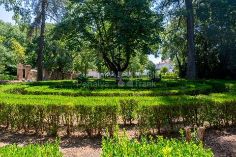 Farm i Borba, Evora, Borba - € 2.500.000 | Ref: PROP-031023 - foto 3
