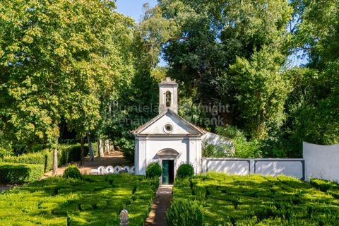 Farm i Borba, Evora, Borba - € 2.500.000 | Ref: PROP-031023 - foto 6