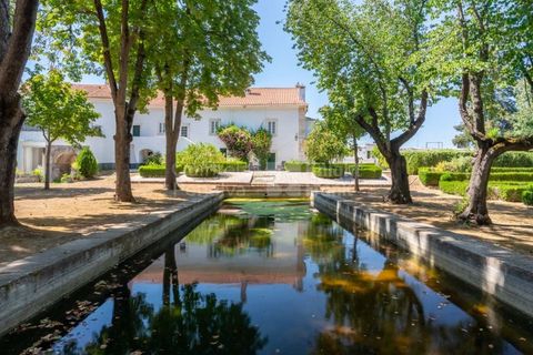 Farm i Borba, Evora, Borba - € 2.500.000 | Ref: PROP-031023 - foto 9