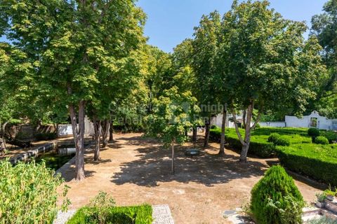 Farm i Borba, Evora, Borba - € 2.500.000 | Ref: PROP-031023 - foto 12