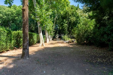 Farm i Borba, Evora, Borba - € 2.500.000 | Ref: PROP-031023 - foto 13