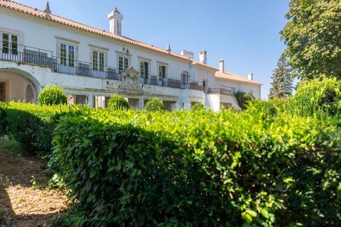 Farm i Borba, Evora, Borba - € 2.500.000 | Ref: PROP-031023 - foto 14