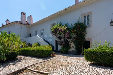 Farm i Borba, Evora, Borba - € 2.500.000 | Ref: PROP-031023 - foto 15