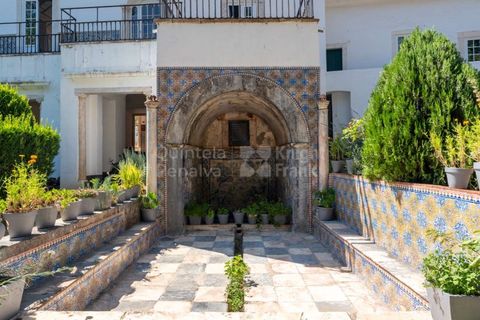 Farm i Borba, Evora, Borba - € 2.500.000 | Ref: PROP-031023 - foto 16