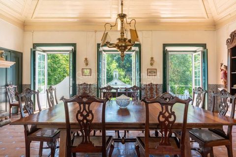 Farm i Borba, Evora, Borba - € 2.500.000 | Ref: PROP-031023 - foto 26