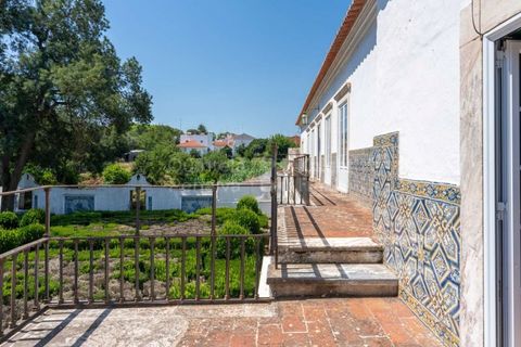 Farm i Borba, Evora, Borba - € 2.500.000 | Ref: PROP-031023 - foto 27