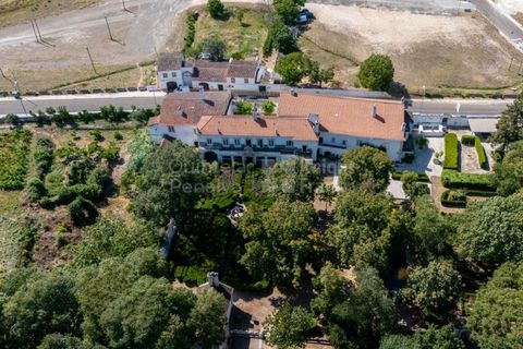 Farm i Borba, Evora, Borba - € 2.500.000 | Ref: PROP-031023 - foto 40
