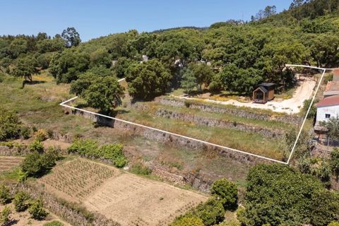 Villa i Monchique, Faro, Monchique - € 330.000 | Ref: Qt-1035 - foto 12