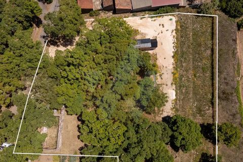 Villa i Monchique, Faro, Monchique - € 330.000 | Ref: Qt-1035 - foto 2