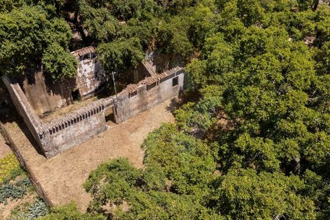 Villa i Monchique, Faro, Monchique - € 330.000 | Ref: Qt-1035 - foto 3