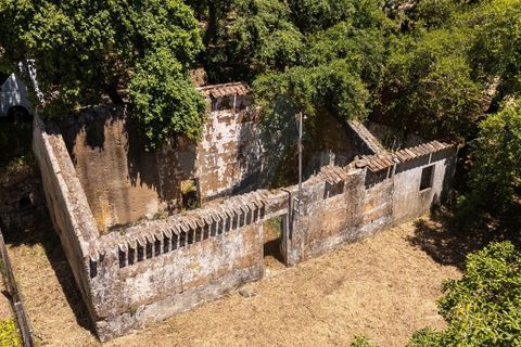 Villa i Monchique, Faro, Monchique - € 330.000 | Ref: Qt-1035 - foto 4