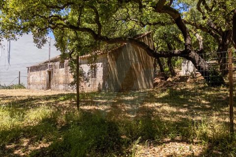 Villa i Monchique, Faro, Monchique - € 330.000 | Ref: Qt-1035 - foto 6