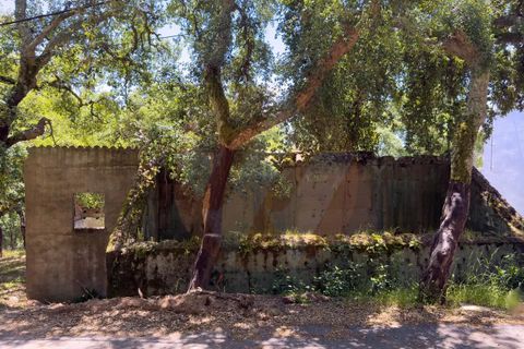 Villa i Monchique, Faro, Monchique - € 330.000 | Ref: Qt-1035 - foto 7