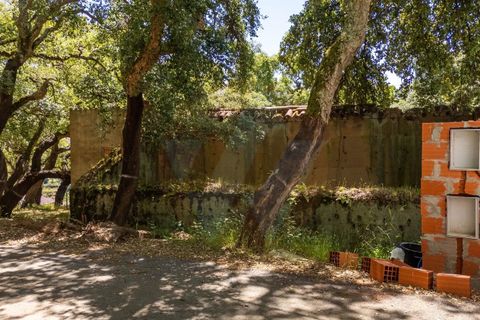 Villa i Monchique, Faro, Monchique - € 330.000 | Ref: Qt-1035 - foto 10
