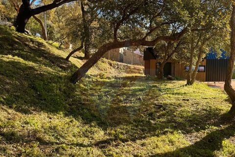 Villa i Monchique, Faro, Monchique - € 330.000 | Ref: Qt-1035 - foto 17