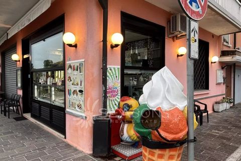 Erhvervsejendom i Eraclea, Venice, Eraclea - € 55.000 | Ref: BBcom13 - foto 4