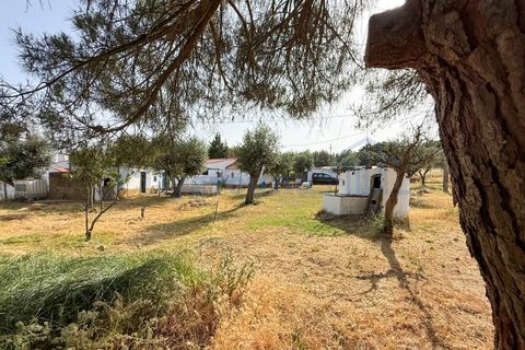 Villa i Estremoz, Evora, Estremoz - € 350.000 | Ref: 6007 - foto 33