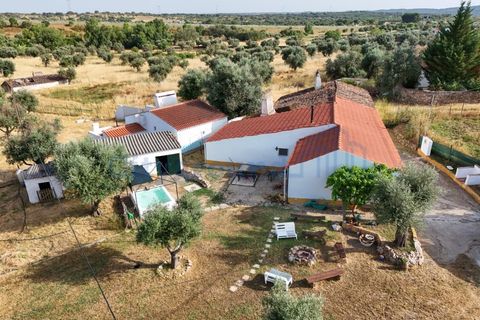 Villa i Estremoz, Evora, Estremoz - € 350.000 | Ref: 6007 - foto 37