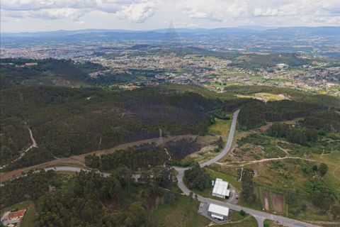 Helårsgrund i Braga, Braga, Braga - € 2.900.000 | Ref: 013-4357 - foto 13