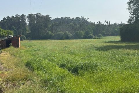 Helårsgrund i Ponte de Lima, Viana do Castelo, Ponte de Lima - € 57.500 | Ref: MDS4219 - foto 2