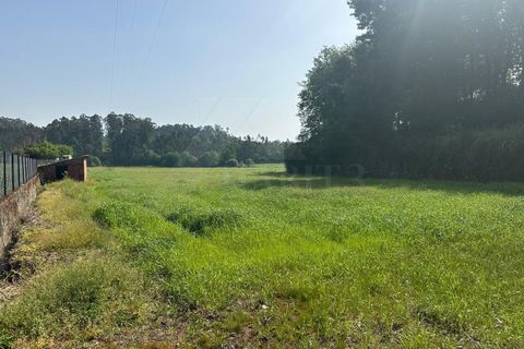 Helårsgrund i Ponte de Lima, Viana do Castelo, Ponte de Lima - € 57.500 | Ref: MDS4219 - foto 4