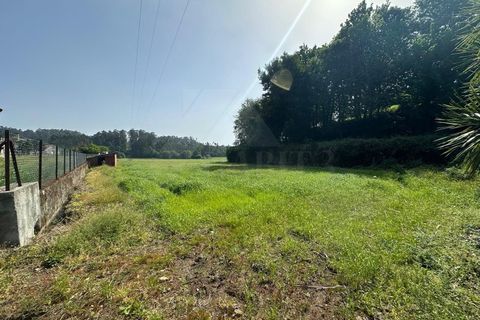Helårsgrund i Ponte de Lima, Viana do Castelo, Ponte de Lima - € 57.500 | Ref: MDS4219 - foto 5