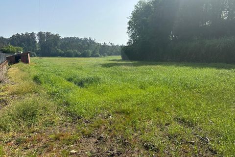 Helårsgrund i Ponte de Lima, Viana do Castelo, Ponte de Lima - € 57.500 | Ref: MDS4219 - foto 6