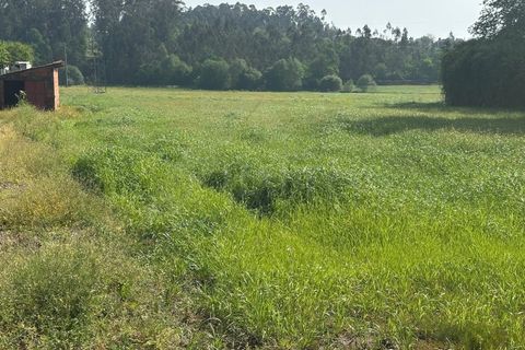 Helårsgrund i Ponte de Lima, Viana do Castelo, Ponte de Lima - € 57.500 | Ref: MDS4219 - foto 7