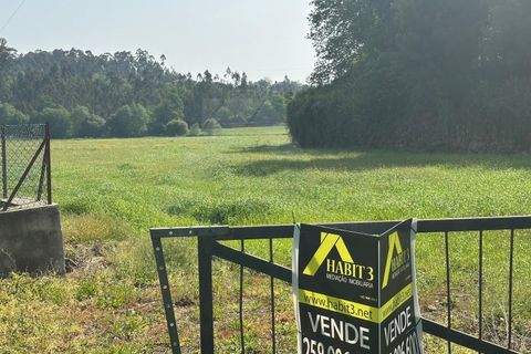 Helårsgrund i Ponte de Lima, Viana do Castelo, Ponte de Lima - € 57.500 | Ref: MDS4219 - foto 8