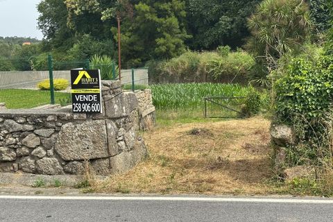 Helårsgrund i Ponte de Lima, Viana do Castelo, Ponte de Lima - € 57.500 | Ref: MDS4219 - foto 3