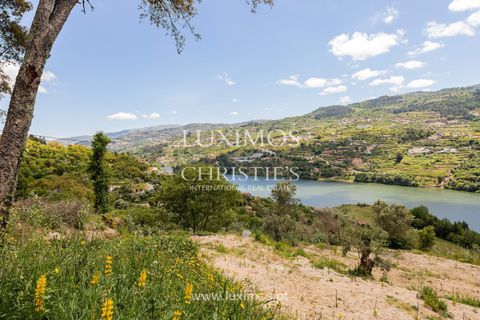 Farm i Baiao, Porto, Baiao - € 1.150.000 | Ref: LS04226 - foto 2