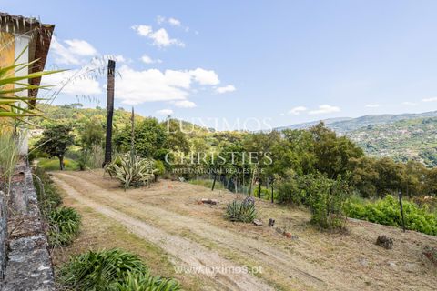Farm i Baiao, Porto, Baiao - € 1.150.000 | Ref: LS04226 - foto 3