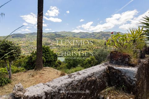 Farm i Baiao, Porto, Baiao - € 1.150.000 | Ref: LS04226 - foto 4