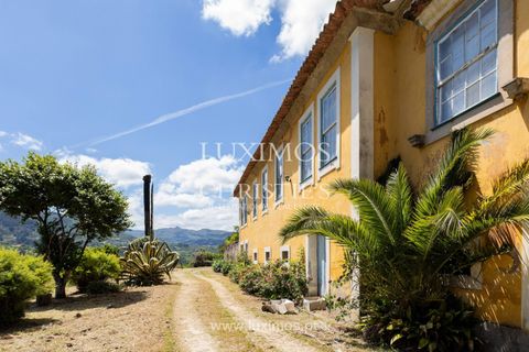 Farm i Baiao, Porto, Baiao - € 1.150.000 | Ref: LS04226 - foto 5